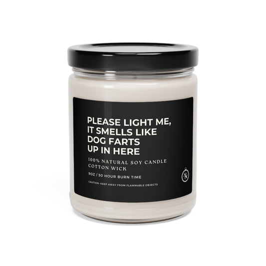 Please Light Me, It Smells Like Dog Farts Up In Here Scented Soy Candle, 9oz