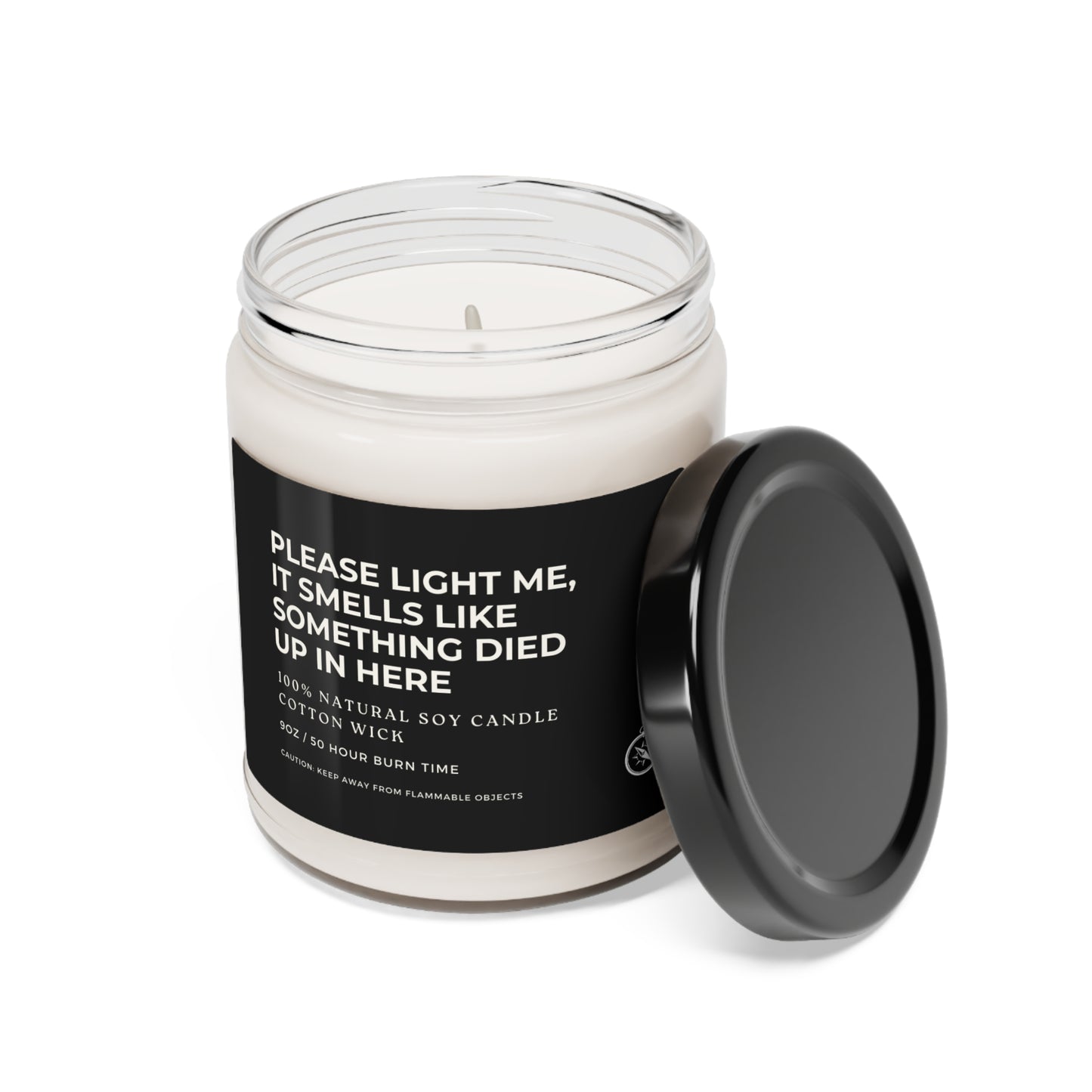 Please Light Me, It Smells Like Something Died Up In Here Scented Soy Candle, 9oz