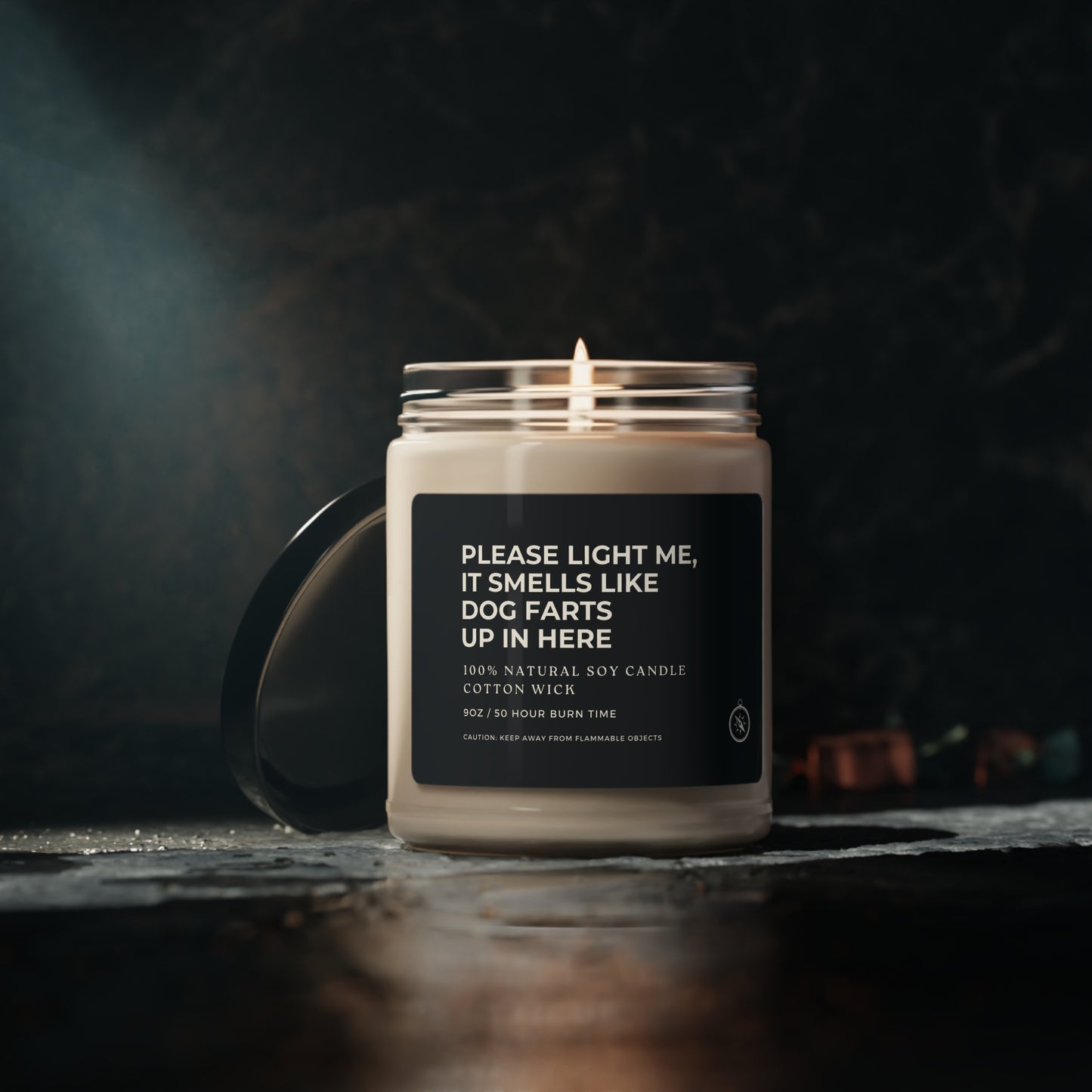 Please Light Me, It Smells Like Dog Farts Up In Here Scented Soy Candle, 9oz